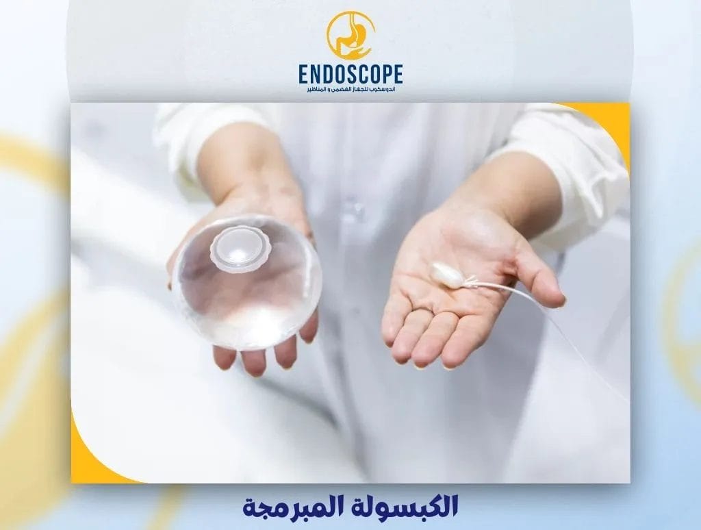 الكبسولة المبرمجة