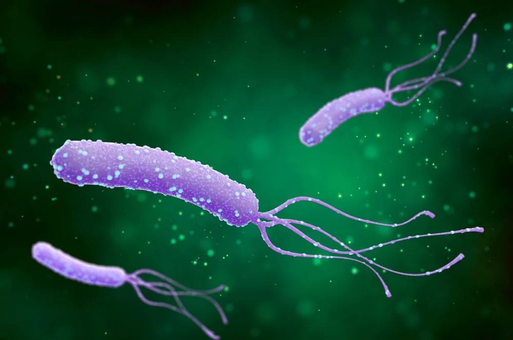 كيف تخرج جرثومة المعدة من الجسم ؟